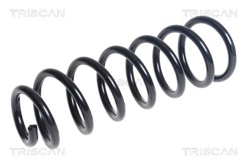 Spiralfjäder fram från TRISCAN