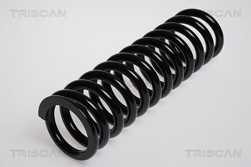 Spiralfjäder fram från TRISCAN