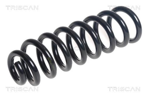 Spiralfjäder bak från TRISCAN