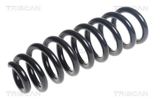 Spiralfjäder bak från TRISCAN