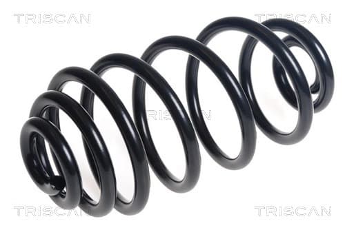 Spiralfjäder bak från TRISCAN