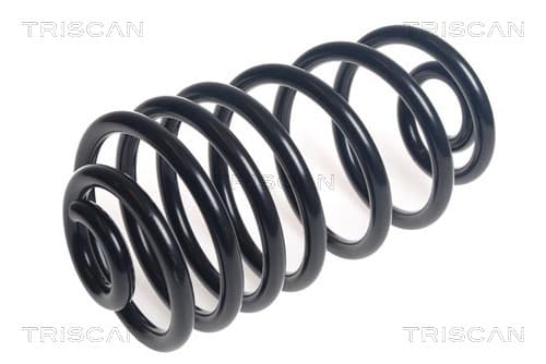 Spiralfjäder bak från TRISCAN