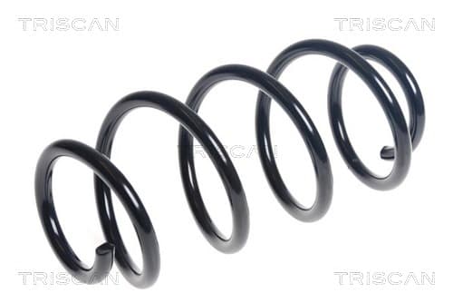 Spiralfjäder bak från TRISCAN