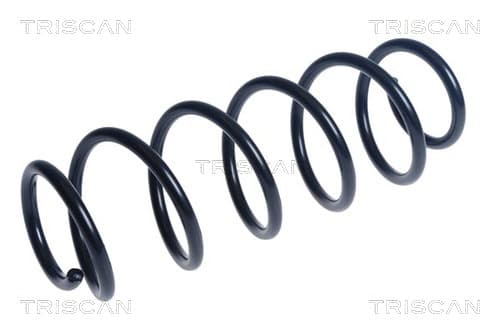 Spiralfjäder bak från TRISCAN