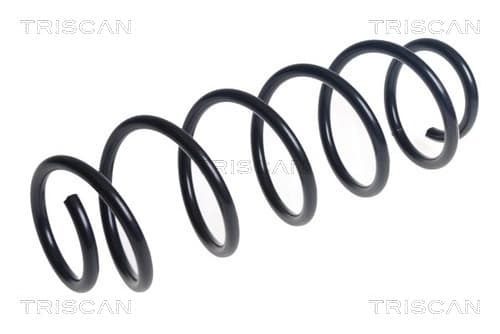 Spiralfjäder bak från TRISCAN