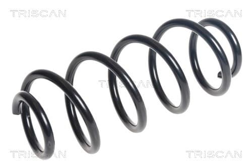 Spiralfjäder bak från TRISCAN