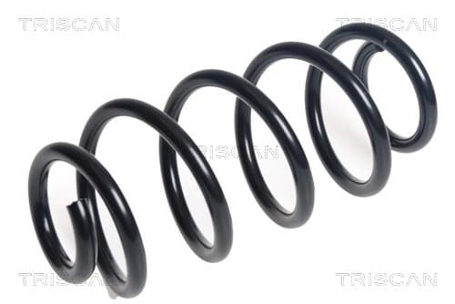 Spiralfjäder bak från TRISCAN