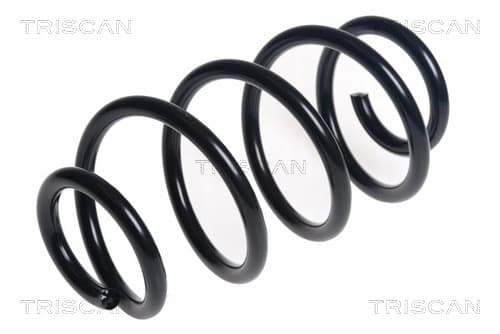 Spiralfjäder bak från TRISCAN