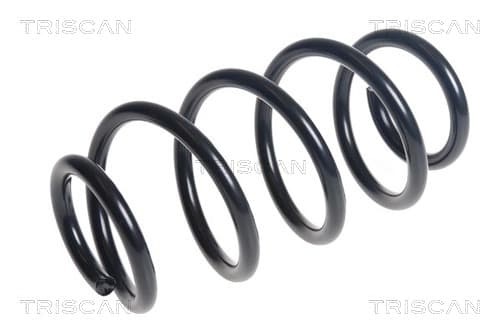 Spiralfjäder bak från TRISCAN