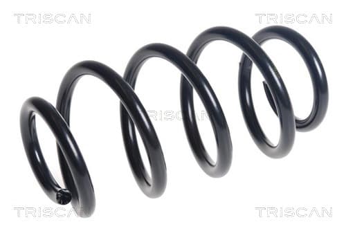 Spiralfjäder bak från TRISCAN