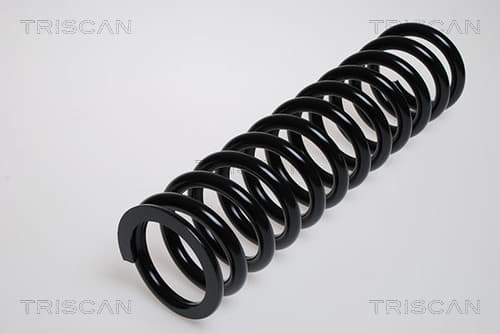 Spiralfjäder fram från TRISCAN