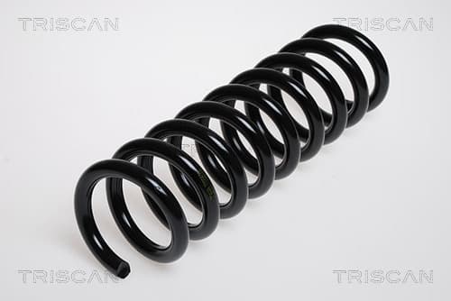 Spiralfjäder fram från TRISCAN