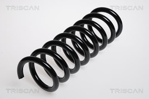Spiralfjäder fram från TRISCAN