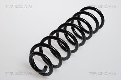 Spiralfjäder bak från TRISCAN