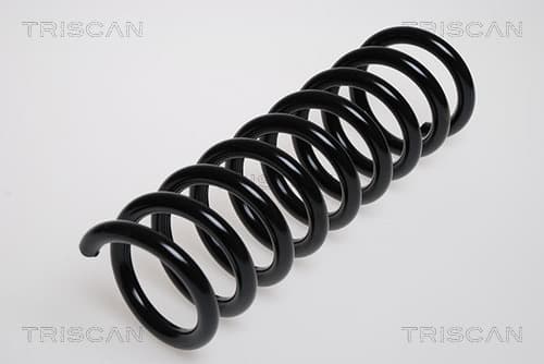 Spiralfjäder bak från TRISCAN