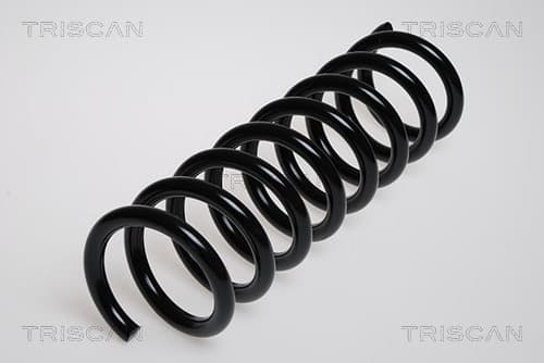 Spiralfjäder bak från TRISCAN