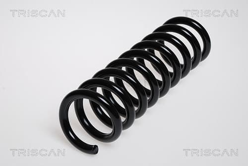 Spiralfjäder bak från TRISCAN