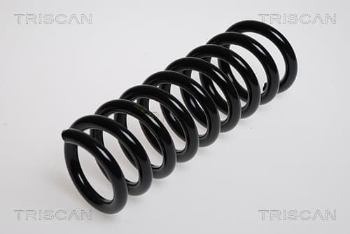 Spiralfjäder bak från TRISCAN
