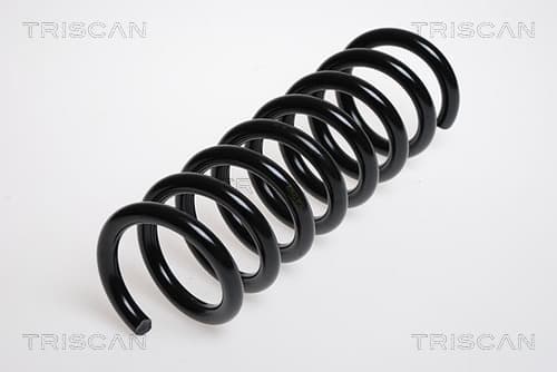 Spiralfjäder bak från TRISCAN