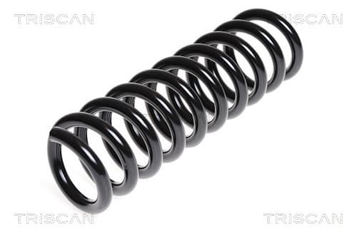Spiralfjäder bak från TRISCAN