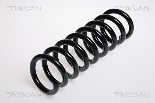 Spiralfjäder bak från TRISCAN