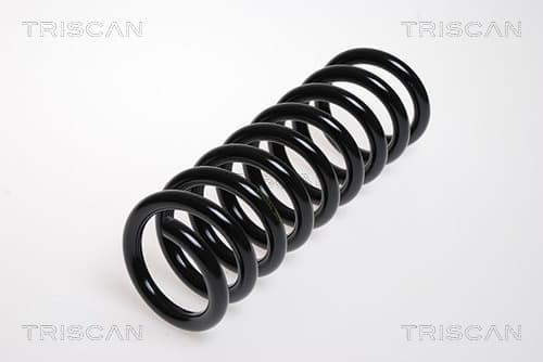 Spiralfjäder bak från TRISCAN