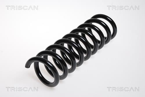 Spiralfjäder bak från TRISCAN