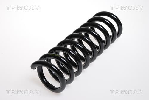Spiralfjäder bak från TRISCAN