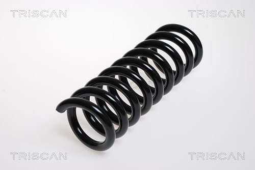 Spiralfjäder bak från TRISCAN