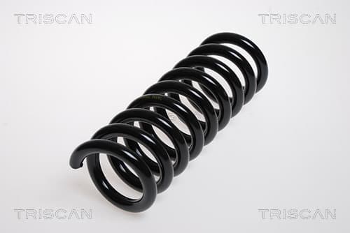Spiralfjäder bak från TRISCAN