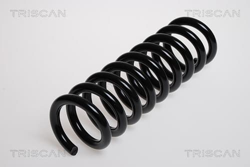 Spiralfjäder bak från TRISCAN