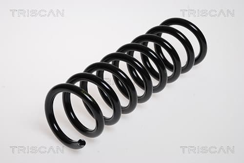 Spiralfjäder bak från TRISCAN