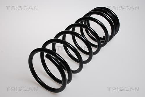 Spiralfjäder bak från TRISCAN