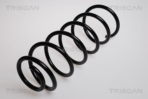 Spiralfjäder fram från TRISCAN