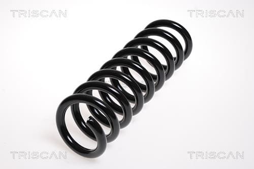 Spiralfjäder bak från TRISCAN