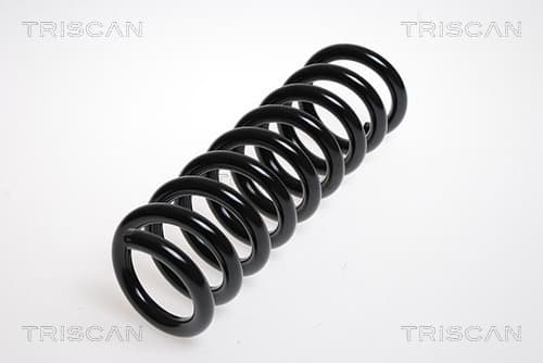 Spiralfjäder bak från TRISCAN