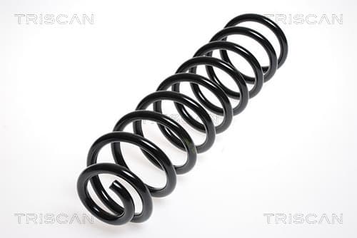 Spiralfjäder fram från TRISCAN