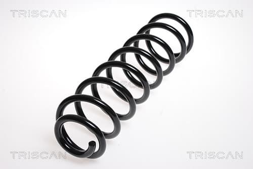 Spiralfjäder fram från TRISCAN