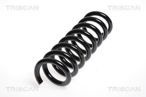 Spiralfjäder bak från TRISCAN