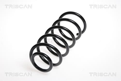 Spiralfjäder bak från TRISCAN