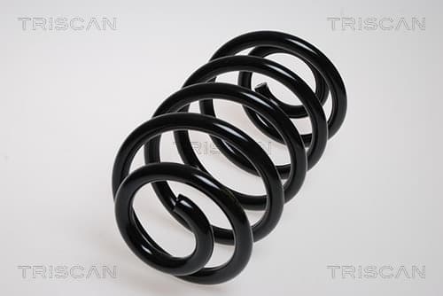 Spiralfjäder bak från TRISCAN