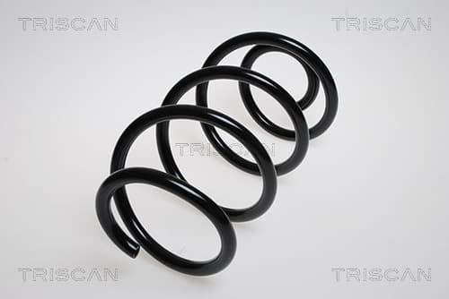 Spiralfjäder fram från TRISCAN