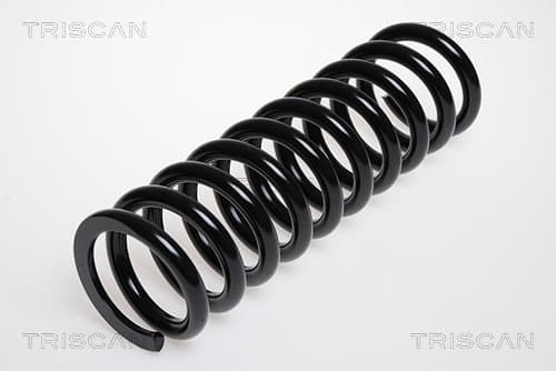 Spiralfjäder bak från TRISCAN