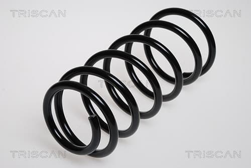 Spiralfjäder fram från TRISCAN