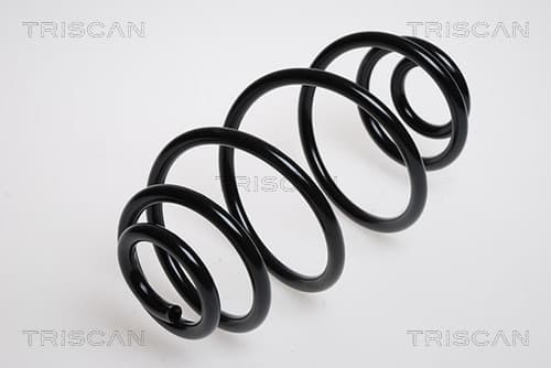 Spiralfjäder bak från TRISCAN