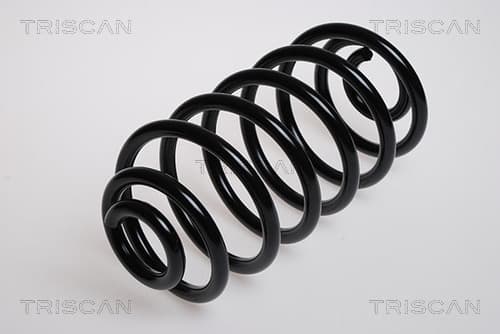 Spiralfjäder bak från TRISCAN