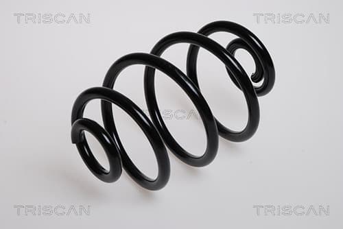 Spiralfjäder bak från TRISCAN