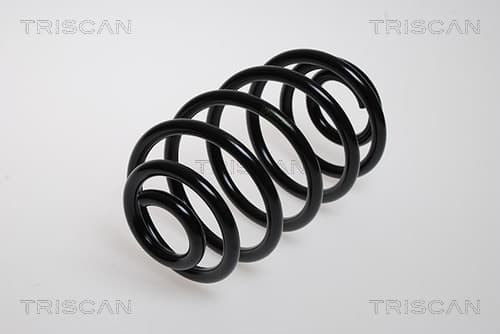 Spiralfjäder bak från TRISCAN