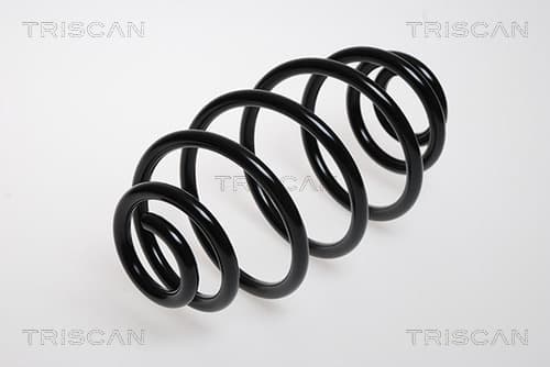 Spiralfjäder bak från TRISCAN