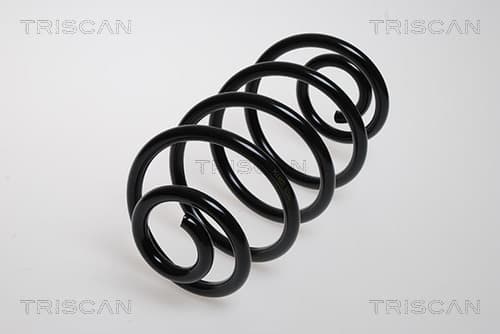 Spiralfjäder bak från TRISCAN